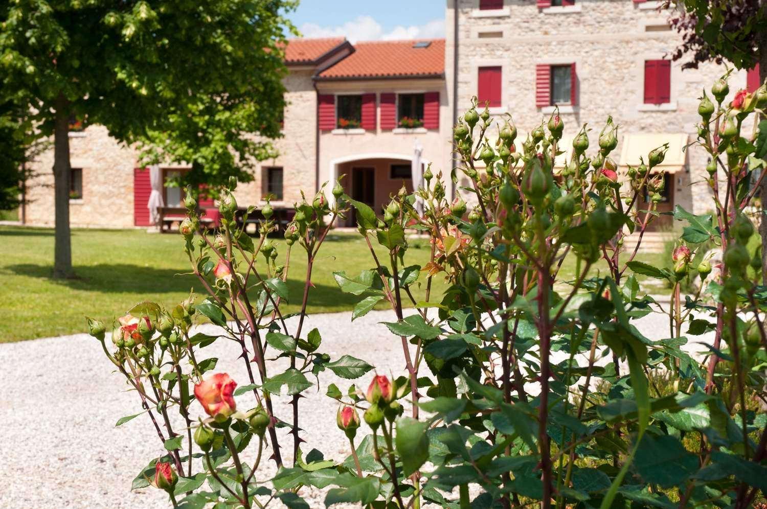 Agriturismo Prime Gemme Nervesa della Battaglia Exterior foto
